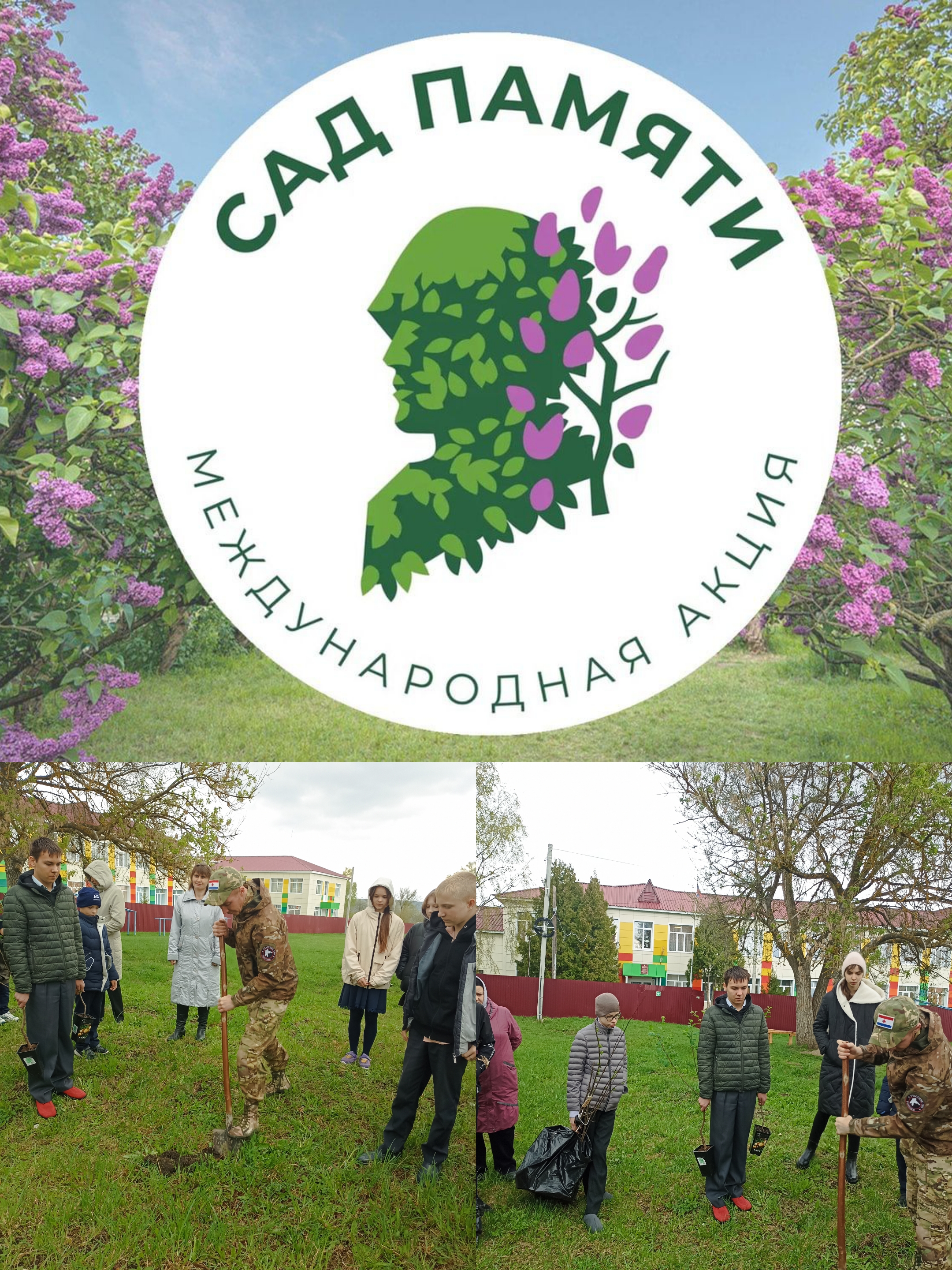 Международная патриотическая акция «Сад памяти – 2025».